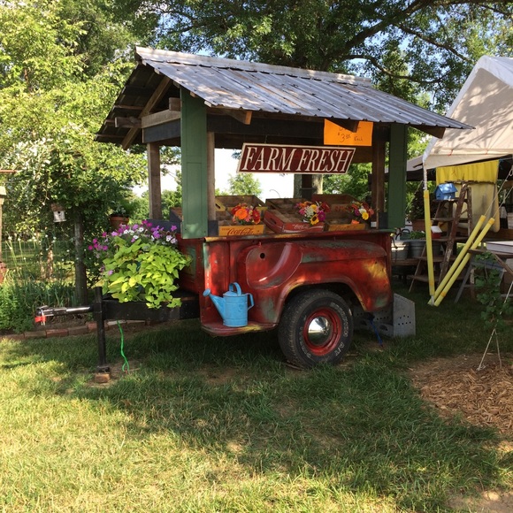 Meet your Posher, Rhonda - Picture 4 of 4